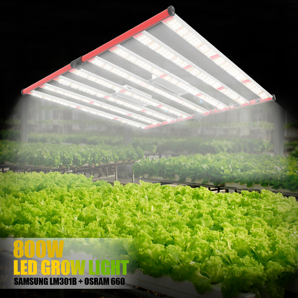 Ny design LED Grow Light 800W