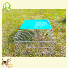 Fashion galvanized iron wire rabbit cage