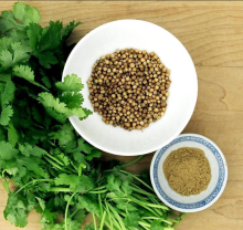 Commercial coriander seed powder for restaurants