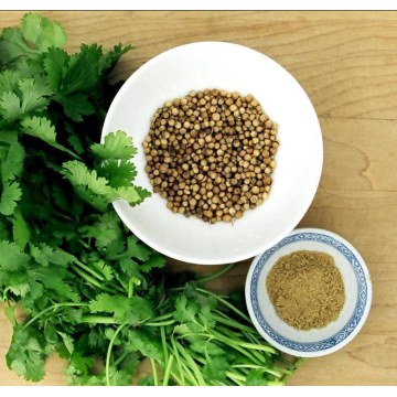 Pó de semente de coriander comercial para restaurantes