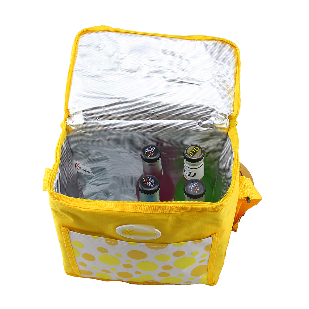 Portable Travel Camping Outdoor Soft Thermal Insulated Cooler