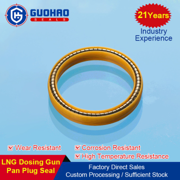 Rubber Hydraulic Seals Hydraulic TC FKM Oil Seals