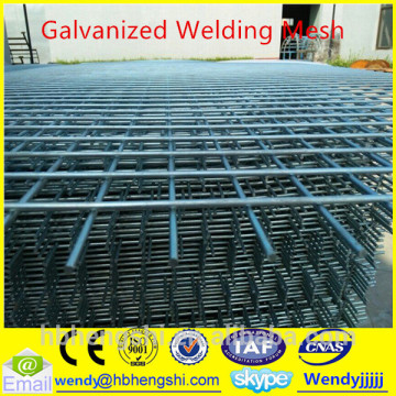 Galvanized square wire mesh/welded wire mesh