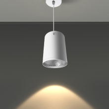 Shenzhen DANS IP65 Waterproof COB LED Lighting Pendant Spot Light