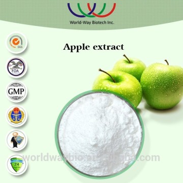 China factory stock clearance apple extract phlorizin, 90% 95% phlorizin apple extract bulk in stock