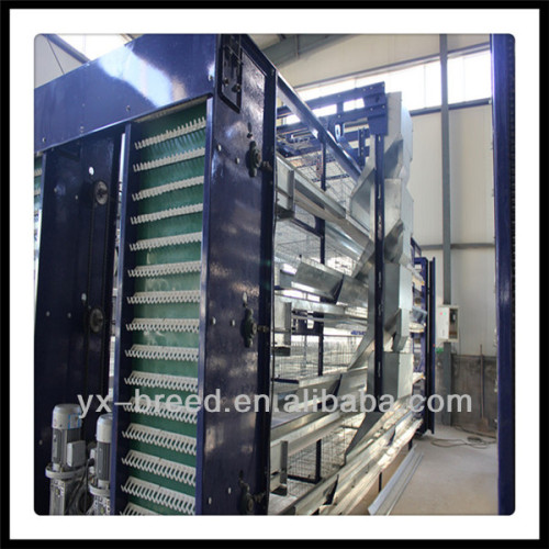 layer poultry farming equipment hot galvanized