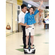 Electric Scooter, Personal Transporter