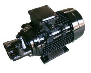 Steering pumps for Electric Vehicles