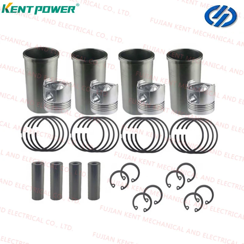 Yangdong Engine Spare Part Crankshaft 08010250 Yd380d Yd385D Yd480d Yd4kd Ynd485D Ysd490d Y495D