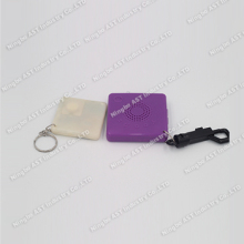 Digital Keychain MP3 Keychain USB Keychain