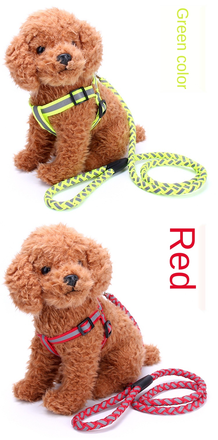 Pet supplies wholesale special traction pull leash dog treadmill morning run special traction rope factory direct supply