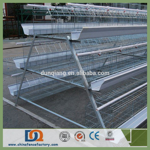 Stainless Steel Chicken Wire Mesh Poultry Layer Cage for Nigeria Farm