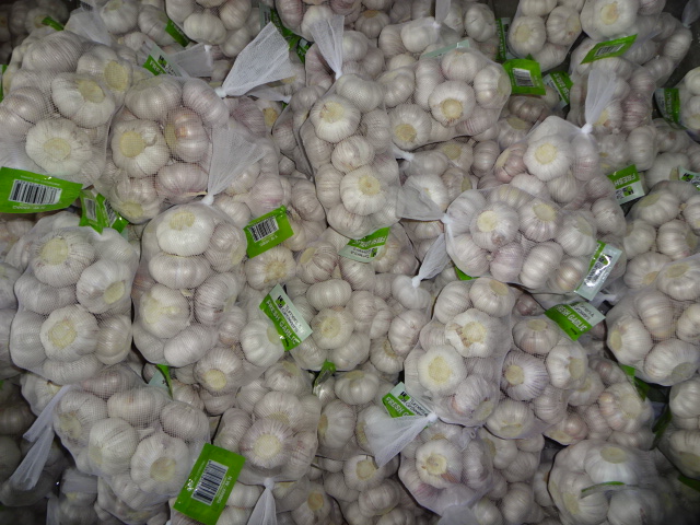 High Quality Crop 2019 Normal Garlic