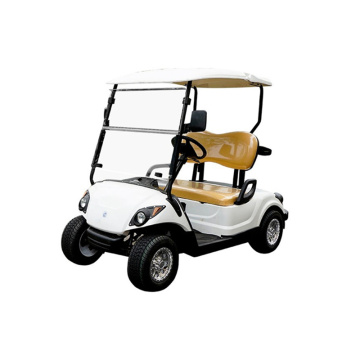 48V3KW 2 seater high performance electric golf cart