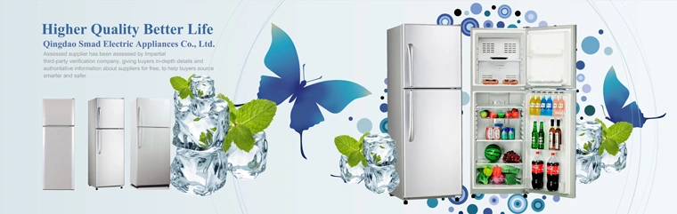 Smad 264L Double Door Water Dispenser Bottom Freezer Fridges Refrigerators