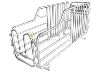 High-Quality Low-Price Pig Sty Farming: Sows Using Gestation Crates
