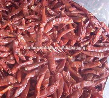 red dry chili