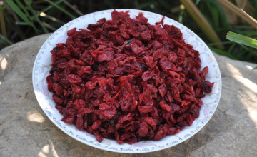 Corni Fructus shan zhu yu cherry fruit dogberry