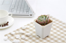 More Thickness Plastic Starting Seeding Flower Pot