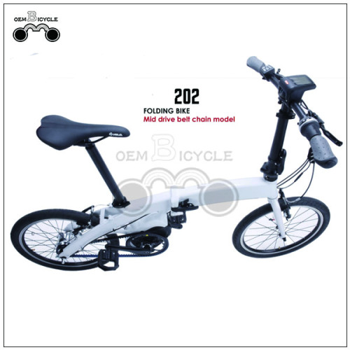 Acquista 250w 8fun 20 pollici pieghevole e bici