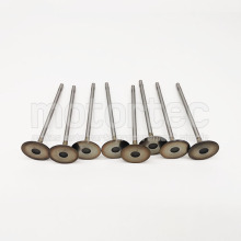 Chevrolet Cruze 1.8 Valve In - Chevy Car Auto Spare Parts Supplier