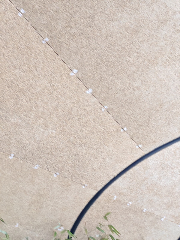 eco friendly wood wool