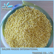 2012 China millet/non-glutinous millet,yellow millet with high quality.