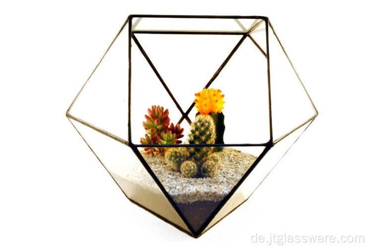 Rundes, klares, geometrisches, quadratisches Hängeterrarium aus Glas