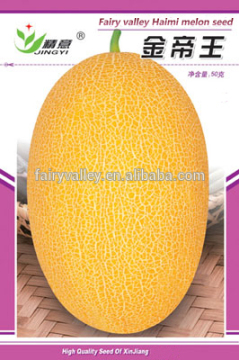 High diseases resistance Hybrid muskmelon seeds hami melon seeds For planting-Jin Di Wang