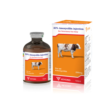 Amoxicillin Injection Suspension 20% for Sheep