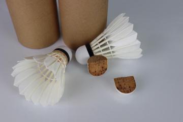 Professionals Competition Duck Badminton