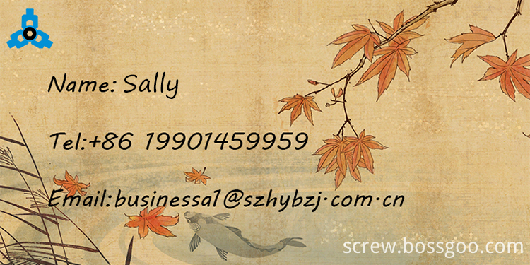 Sortie Sally
