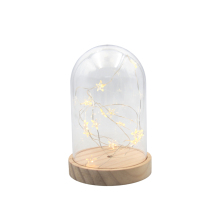 Strong Power Preserved Flower Led Light with Cover