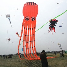 Giant Inflatable Octopus Kite: 3D Animal Shape Fish Kite from Kite Factory