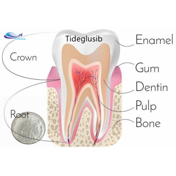 Regeneración de dientes en polvo CAS 865854-05-3 TideGlusib