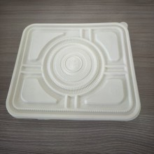 Cornstarch Disposable Compostable Square Plate & Tray