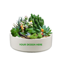 Modern 8 Inch Indoor White Ceramic Porcelain Narcissus Flower Pots