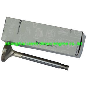 Engine Valve for Mtu, Mtu Spare Pats