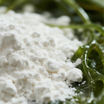 Sodium alginate powder? bulk