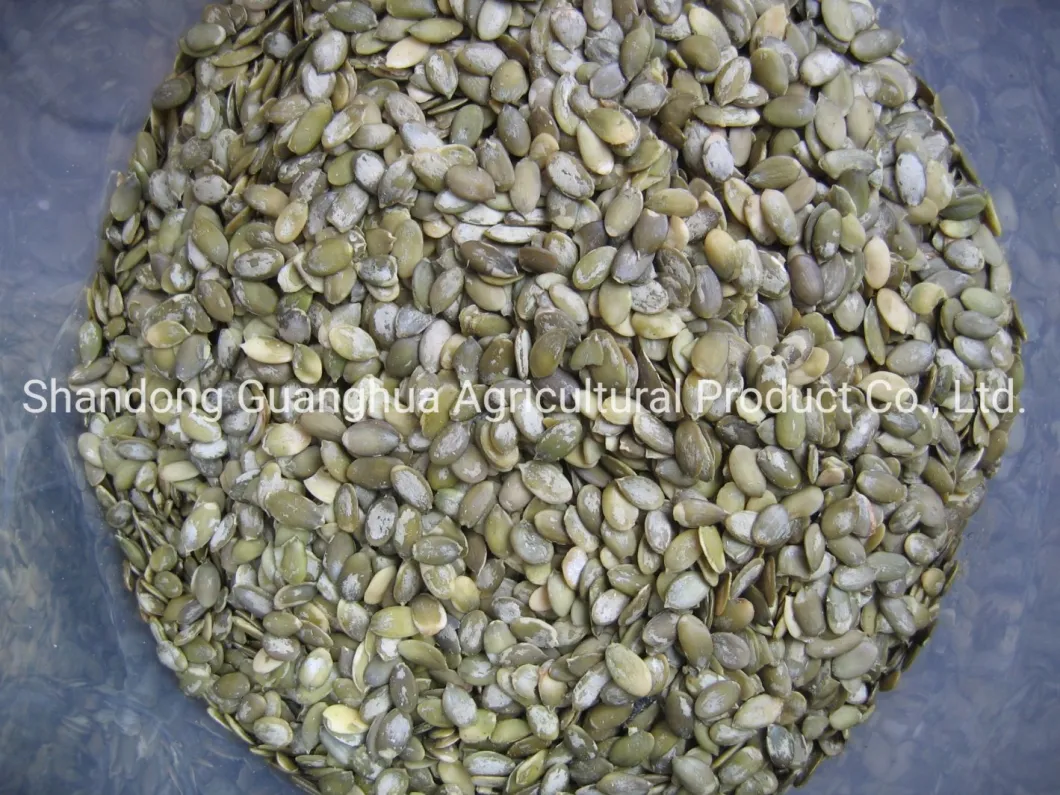 New Crop Snow White Pumpkin Seeds From Shandong Guanghua