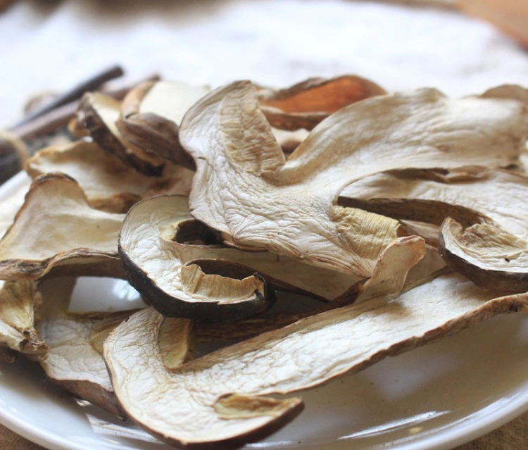 Dried Boletus Edulis, Porcini Mushroom From China