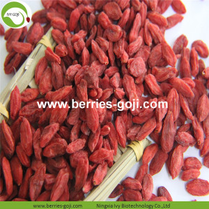 ผลไม้ซัพพลายผลไม้แห้ง Super Grade Goji Berry