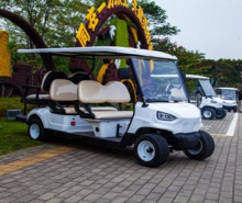 Best Electric Hunting Golf Cart