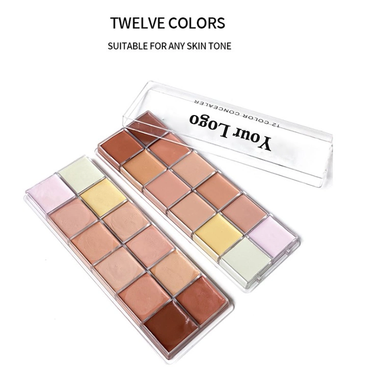 PRO Concealer Makeup 12 Color Full Coverage Concealer Private Label Concealer Pallete Makeup
