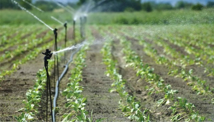 French Doser for Agriculture Irrigation French Doser for Agriculture Irrigation