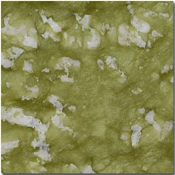 MARBLE/STONE/ STONE MARBLE/Marble_036_Light_Green