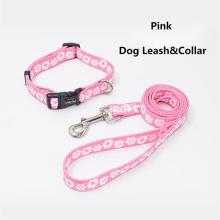 Luxury Polyester Slip Lead Dog Leash and Collar Set with Clip