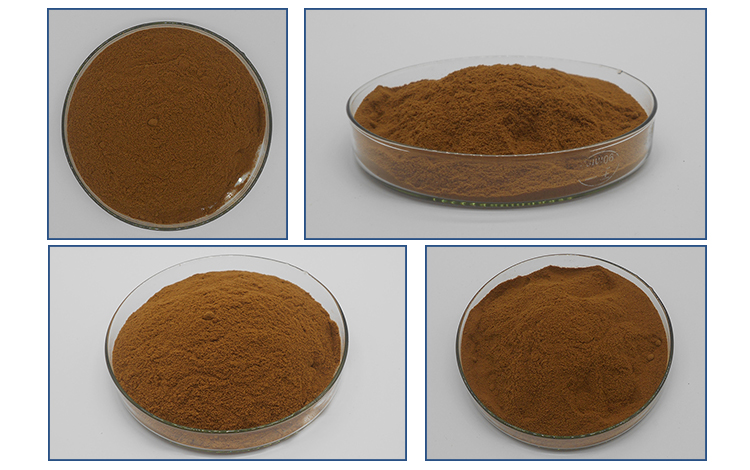 Insen Provide Large Stock Green Lipped Mussel Powder