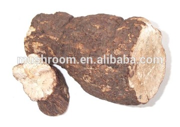 Mushroom deep processing enterprises,Poria cocos extract,Poria cocos polysaccharide