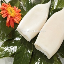 High quality Pacific squid tube (Todarodes Pacificus)